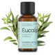 Essential Oil